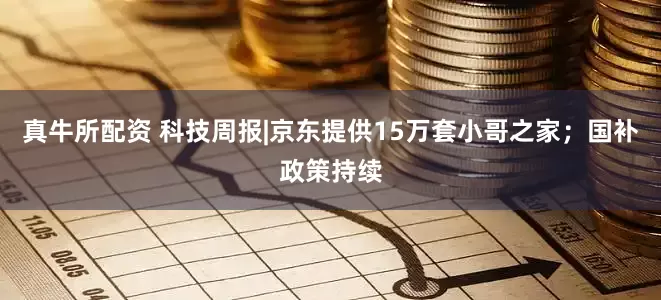 真牛所配资 科技周报|京东提供15万套小哥之家；国补政策持续